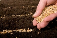 Test your knowledge - Farm quizzes