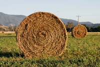 Test your knowledge - Farm quizzes