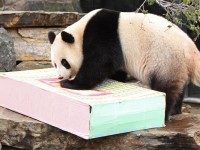 Test your knowledge - Animal quizzes