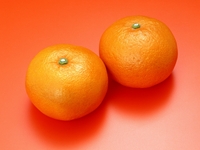 Test your knowledge - Fruit quizzes