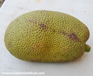 Test your knowledge - Fruit quizzes