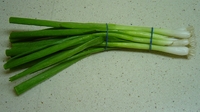 Test your knowledge - Vegetables quizzes